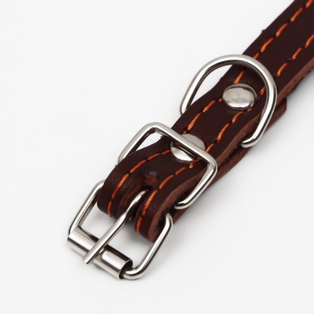 Leather collar on synthetic winterizer, dimensionless, 37 x 1.5 cm, Osh 21-31 cm, brown-4