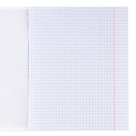 Notebook in a cage 24 sheets, 4 types of mix, cover coated cardboard, Minnie Mouse-1
