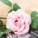 Artificial flowers "rose charm" 8x58 cm, pink