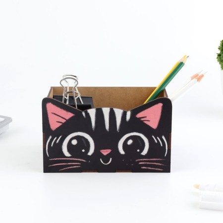Organizer for the Office "Black Cat"-2