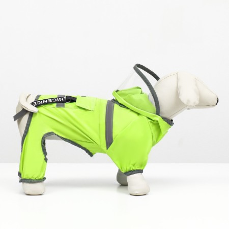 Combiason for dogs, demi -season with a visor, size 2hl (DS 45, OG 62, Osh 47 cm), green 98544-2