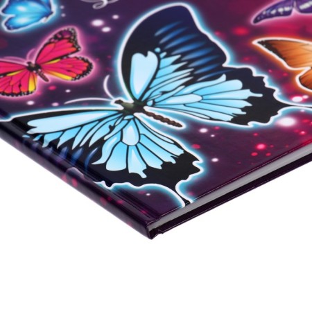 Diary for grades 5-11, "butterflies", solid cover 7BC, glossy lamination, 48 sheets-3