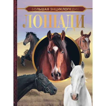 Big Encyclopedia. Horses. Spector A.A.