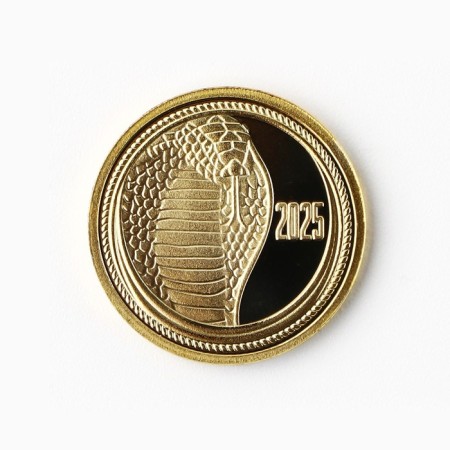 New Year's Coin "Wealth and Happiness" for the New Year, Diam. 2.2 cm-3