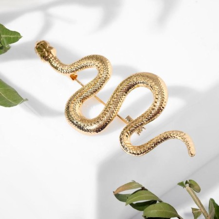 Brooch "Snake" winding, color gold