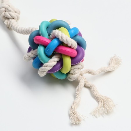 Cable toy with chewing elements "Molecule on the rope", up to 40 cm, up to 90 g, mix-2