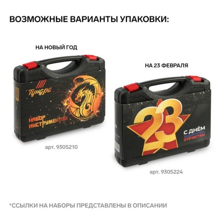 A set of tools in the case of the tundra, universal, 15 items-4