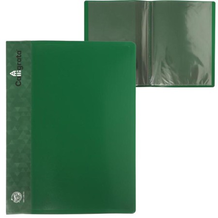 Folder with 10 A4 inserts, 500 μm, calligrata, pocket on the spine, green