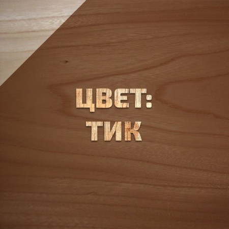 Antiseptic-spraying antiseptic on natural linseed oil VDPF-1601 TIK 3 L-1