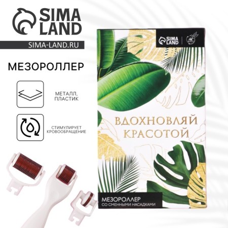 Mesoroller "inspire beauty", with interchangeable nozzles, needles length of 1 mm-1