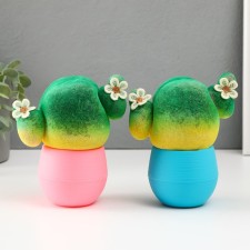 Growing gift Eco -Zhizhivchik 