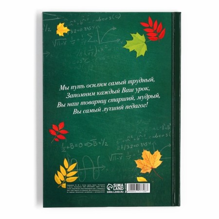 Gift set "Beloved Teacher": A5 Diary, 80 L, Medal-3