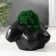 Kashpo concrete "Bust" with moss 6.5x11cm black (moss green stabilized)