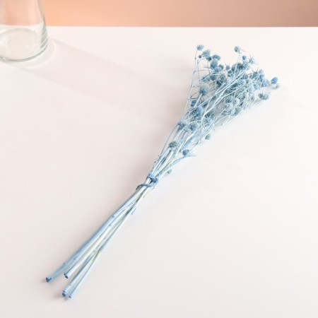 A set of dried flowers "Eringium", ban 5 pcs, length 50 (+/- 6 cm), blue-3