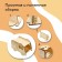 DIY wooden designer-designer with your own hands, 22 × 12 × 14 cm, Greengo