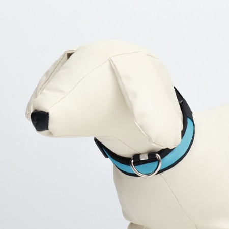 Collar with flash light 3 lumber modes Size S, Osh 35-43 x 2.5 cm blue-2