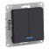 Switch Se Atlasdesign, 10 a, 2 keys, IP20, hidden, backlight, carb., Atn001053