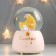 Souvenir polystone water ball light, music "dog sleeps in a month" 13x8x8 cm