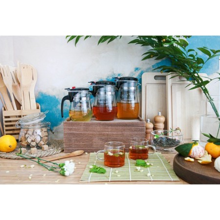 Glass teapot Magistro “Mexico City”, 350 ml, with metal sieve, plastic flask-11