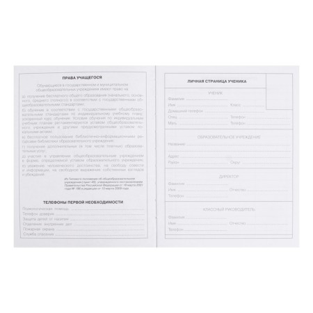 Diary for grades 5-11 "Dragon", integral cover, glossy lamination, 48 sheets-2