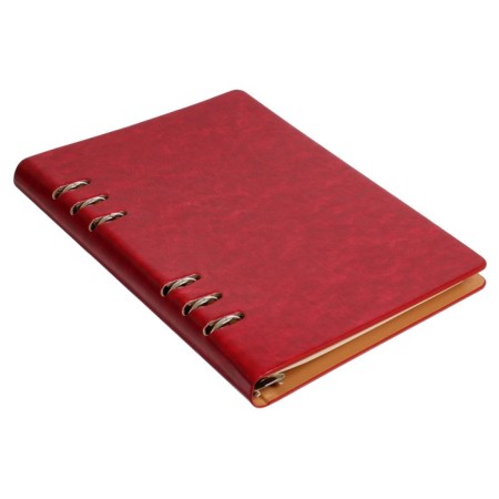 Organizer on the rings "Prestige" A5, 92 sheets in the ruler, leatherette cover, mix-1