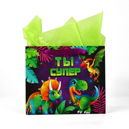 Packet laminated bilateral "dinosaurics", with quiet and postcard, ml, 23 × 27 × 11.5-2