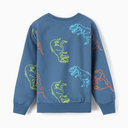 Sweatshirt for boys, jeans/dino color, height 110 cm-3