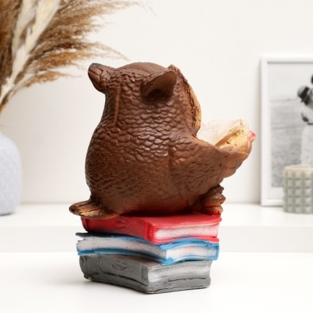 Pigger "Owl with a book" 25cm-2
