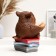 Pigger "Owl with a book" 25cm