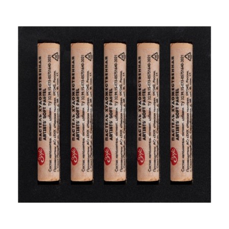 Pastel Dry artistic Extra Soft, ZHK master class, 10/65 mm, Neapolitan bodily 253137222-3