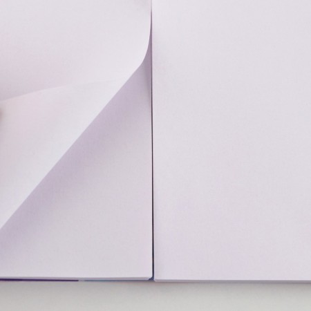 New Year. Double notebook on the crests of "Dreams come true"-3