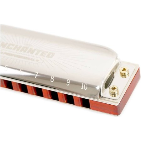 Harmonic harmonica EASTTOP, Pro30 E, diatonic-1