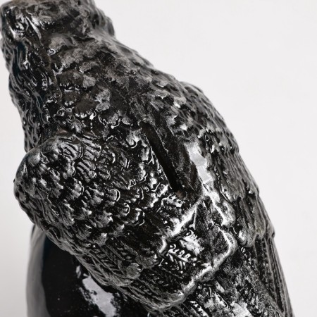 Pigger "Raven on the skull"-5