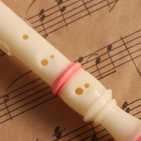Music Life Blockflate, 8 holes, pink cover, ramrod, 30 cm-3