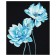 Picture on numbers on the black canvas "Blue Flowers", 40 × 50 cm
