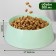 Plastic bowl 300 ml, olive