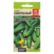 Seeds of the cucumber 