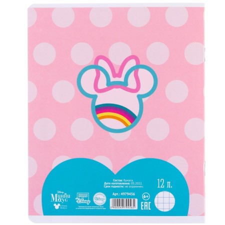 A set of notebooks 10 pieces, 12 sheets, in a cage, cover coated cardboard, Minnie Mouse-6
