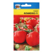 Flmenko tomato seeds, f1