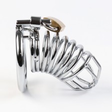 Belt of fidelity 
