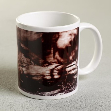 Sublimation "Alexander" Lev, 320 ml, with application-2