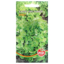 Bouquet salad seeds, 0.2 g