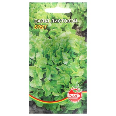 Bouquet salad seeds, 0.2 g