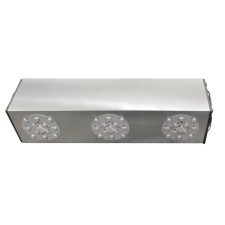 LED flowers lamp on round phytosobs 