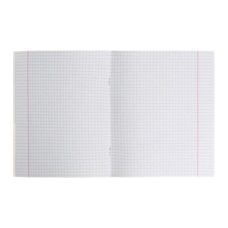 Notebook of 40 sheets, in a “dog drive” cage, cover coated cardboard, an offset block 65g/m2, 5 types-1