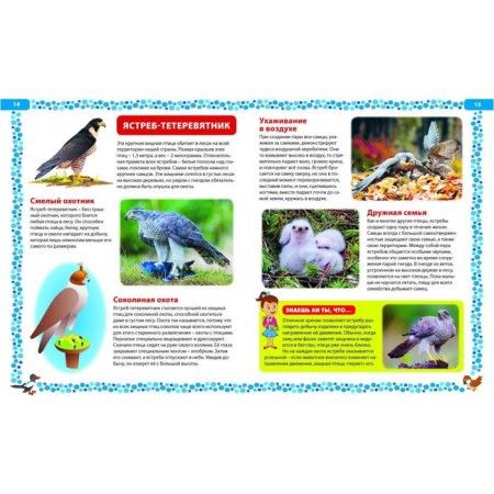 Big book about birds. Illustrated encyclopedia-3