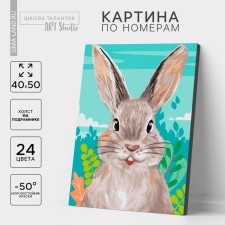 Picture on numbers on canvas with a subframe 