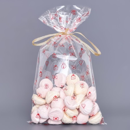 Package Packy BOPP, "Love House" 20*35 cm set 50 pcs-1