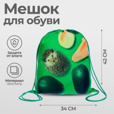A bag for shoes 420 x 340 mm, Calligrata MSO-5C, (soft polyester, density 210D), 