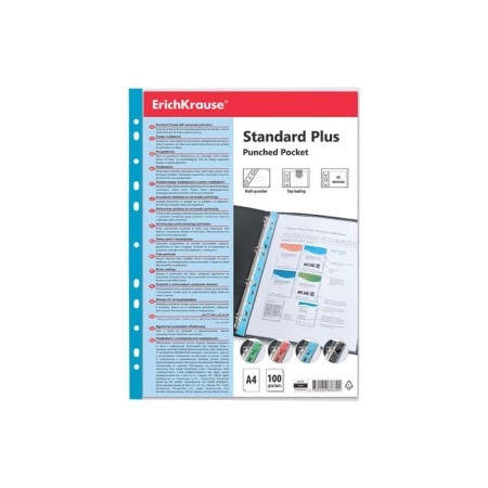 A4, 40 μm, Erichkrause Standard Plus, embossing, vertical, with a colored strip, 100 pieces-2